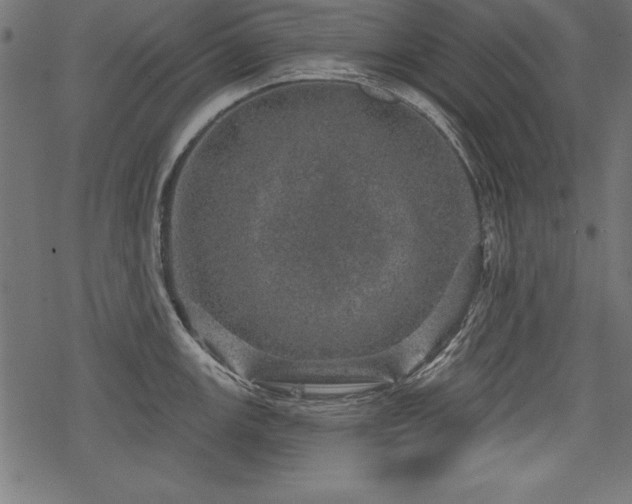 X0000078251147200611031131