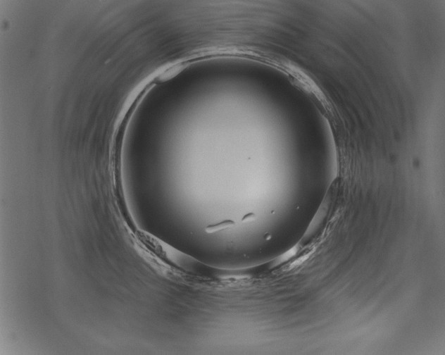 X0000078251148200611031131