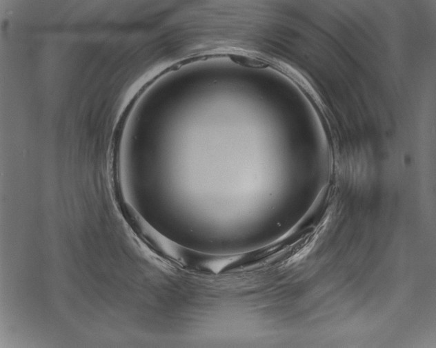 X0000078251149200611031131