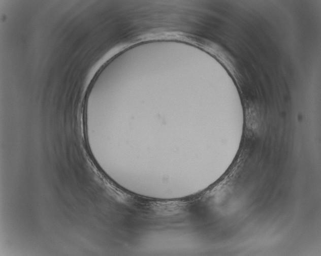 X0000078251150200611031131