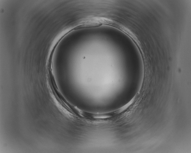 X0000078251152200611031131