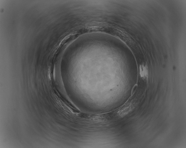 X0000078251155200611031130