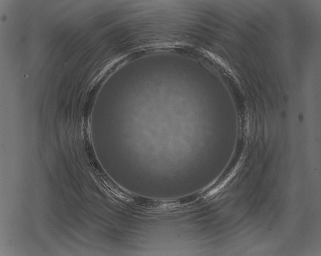 X0000078251161200611031130
