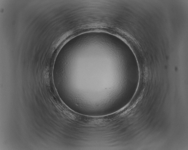 X0000078251162200611031130