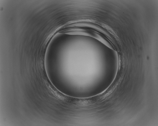 X0000078251177200611031130