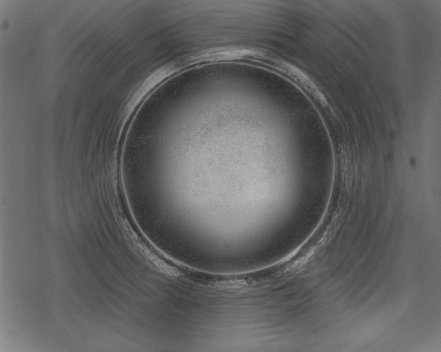 X0000078251186200611031130
