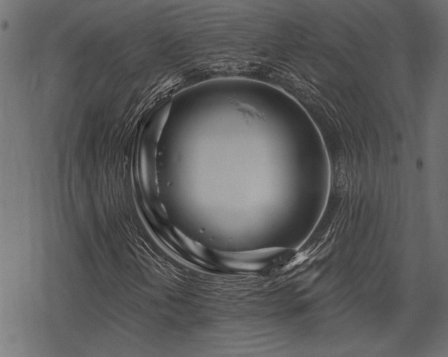 X0000078251202200611031129