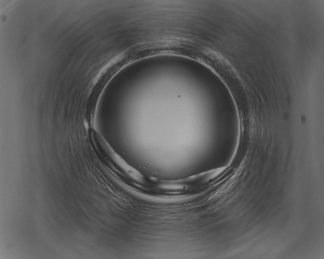X0000078251210200611031129