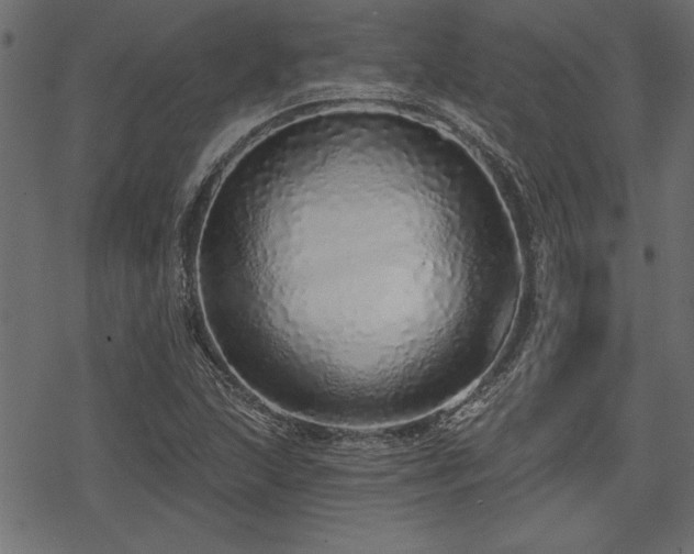 X0000078251215200611031129