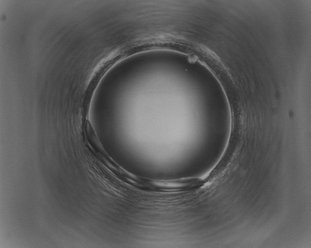 X0000078251218200611031129