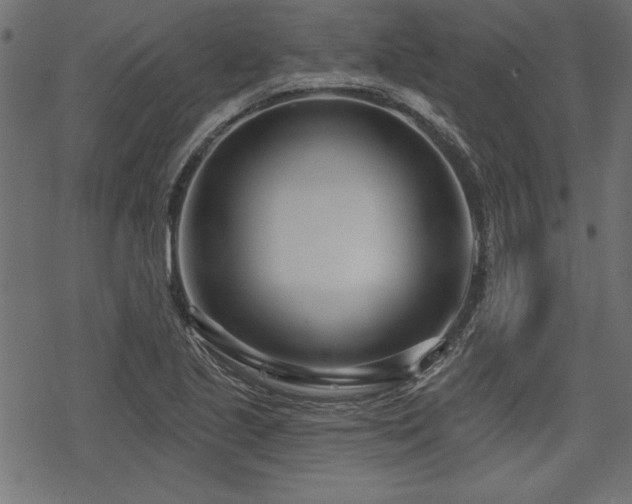 X0000078251221200611031129