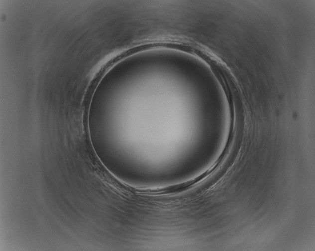 X0000078251222200611031129