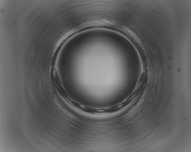 X0000078251226200611031129
