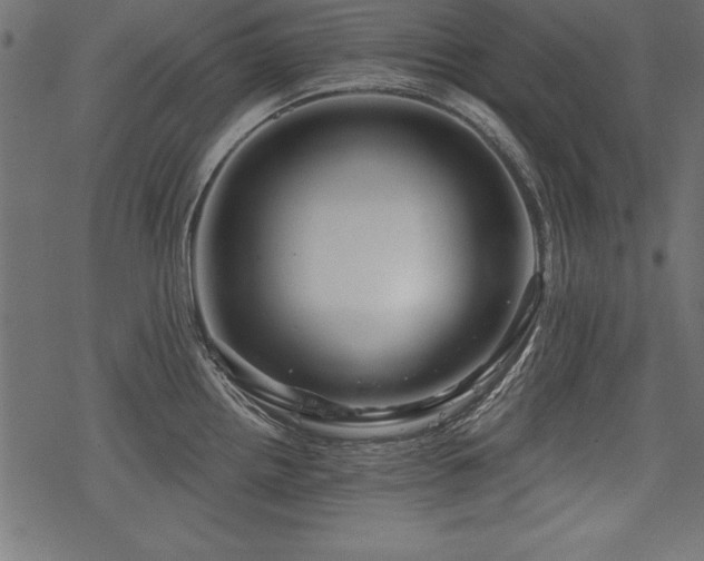 X0000078251242200611031129