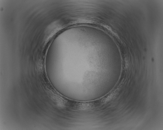 X0000078251266200611031128