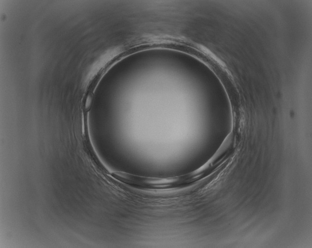 X0000078251269200611031128