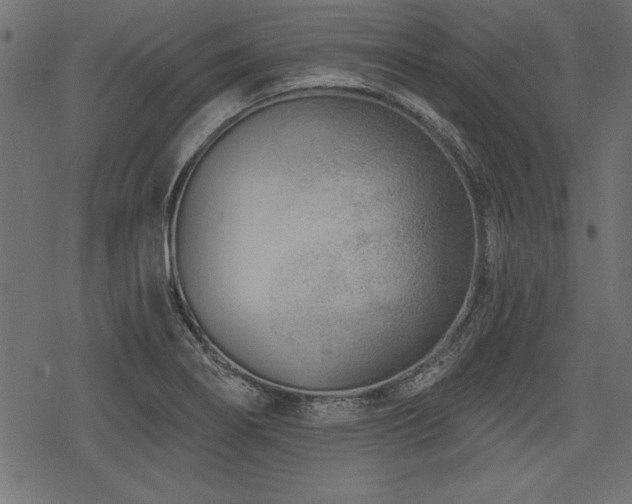X0000078251274200611031128