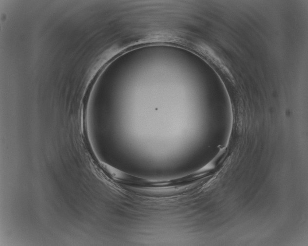 X0000078251276200611031128
