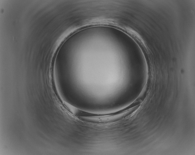 X0000078251288200611031128