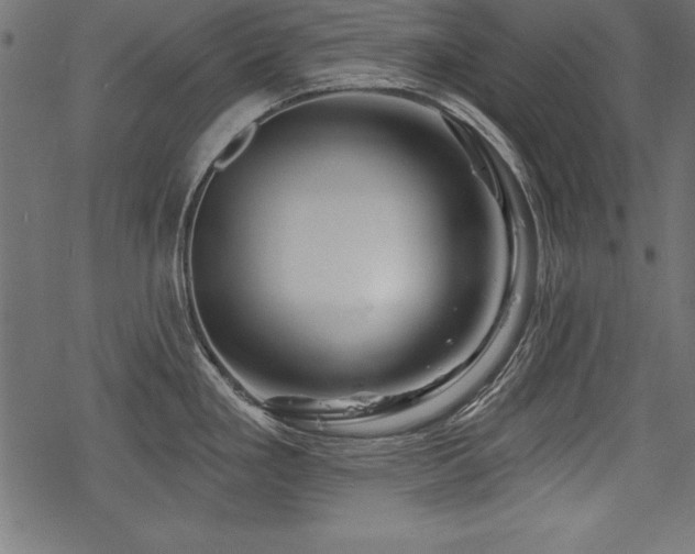 X0000078251293200611031128