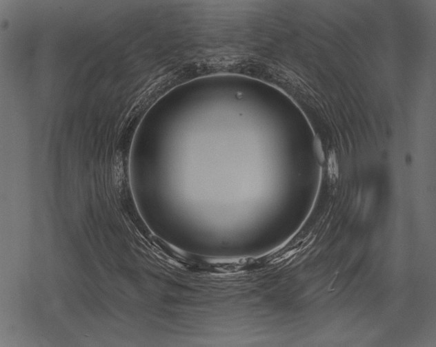 X0000078251299200611031127