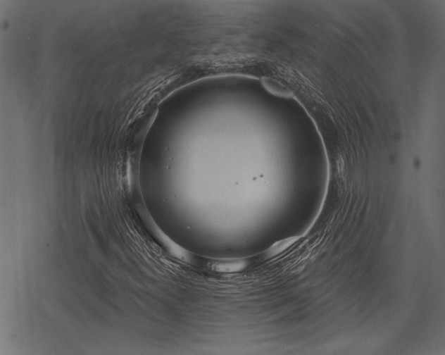 X0000078251300200611031127