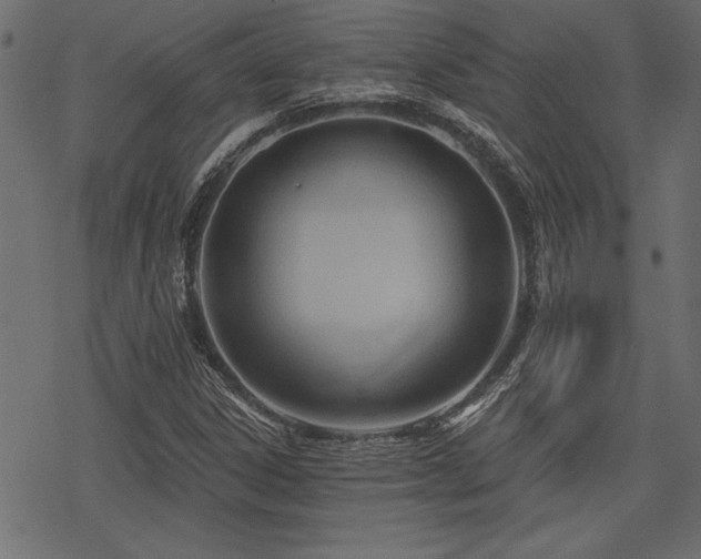 X0000078251306200611031127