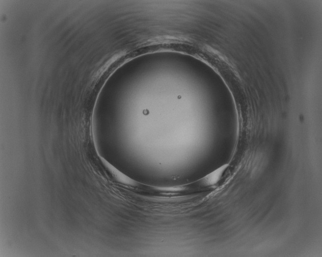 X0000078251313200611031127