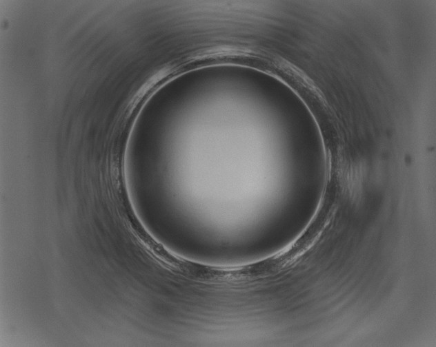 X0000078251321200611031128