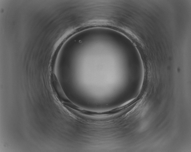 X0000078251325200611031128