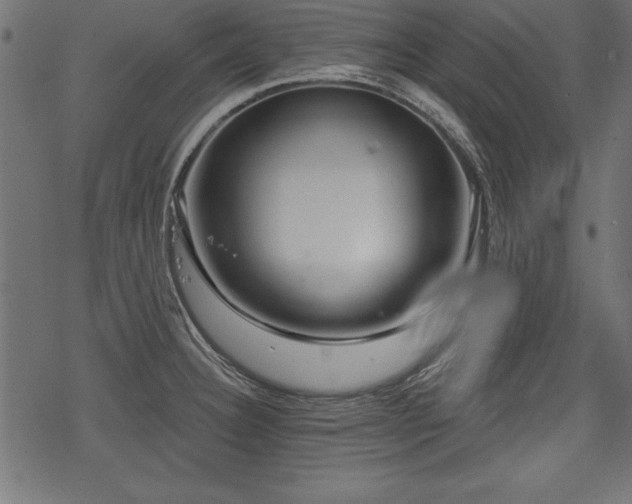 X0000078251332200611031128