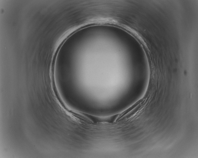 X0000078251343200611031128