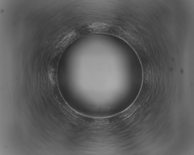 X0000078251346200611031127