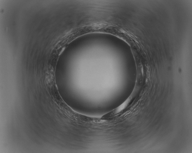 X0000078251349200611031127