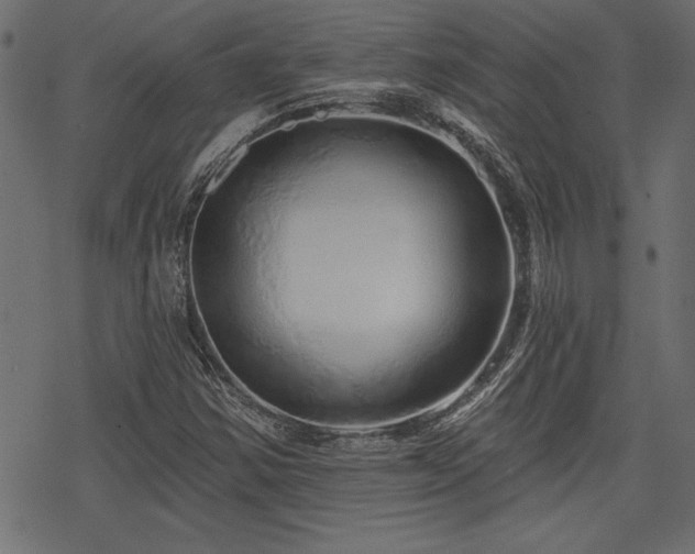 X0000078251354200611031127
