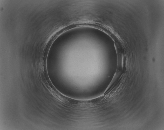 X0000078251356200611031127