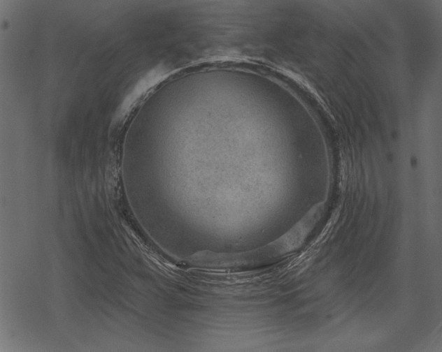 X0000078251359200611031127
