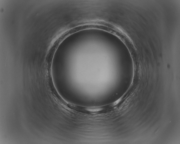 X0000078251360200611031127