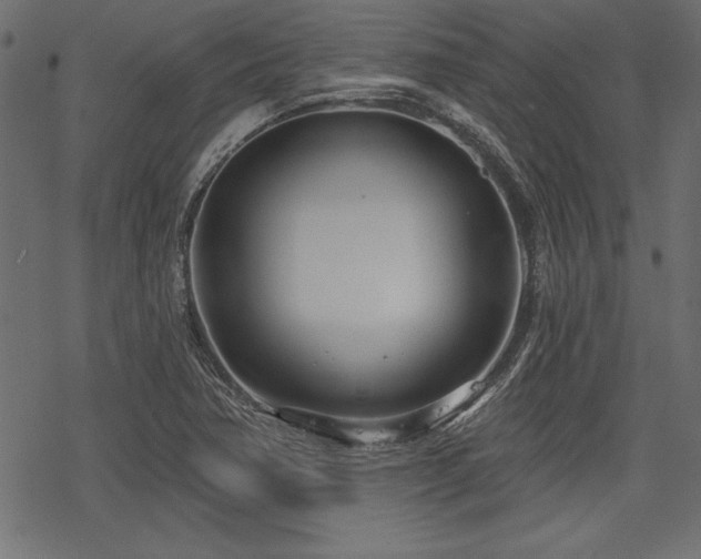 X0000078251362200611031127