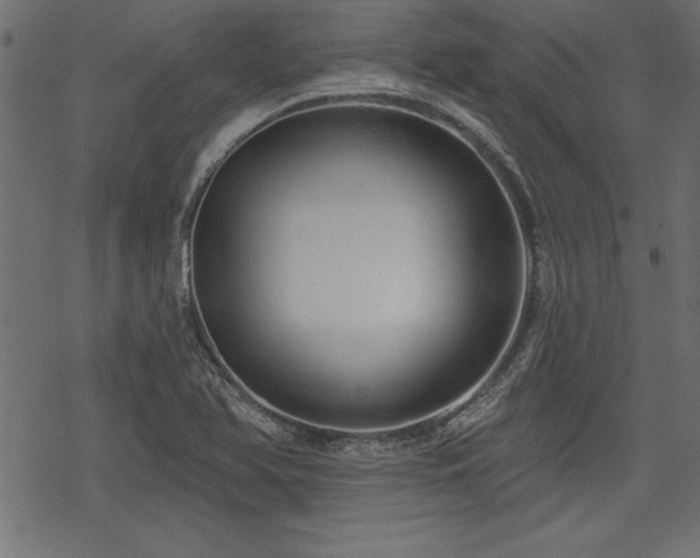 X0000078251366200611031127