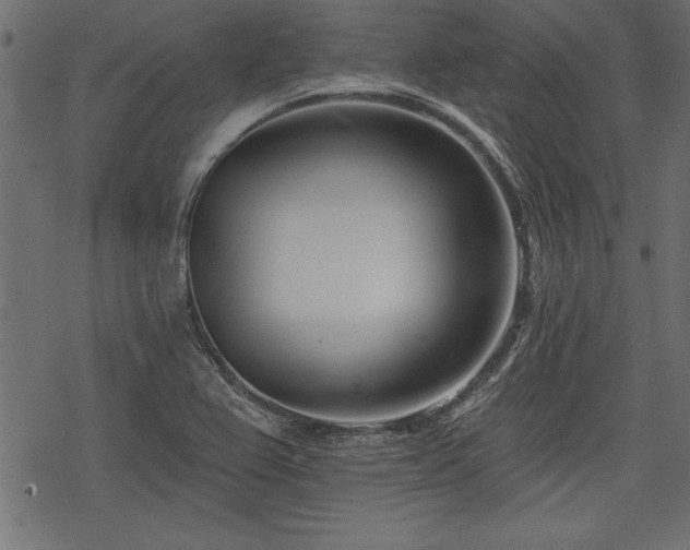 X0000078251367200611031127
