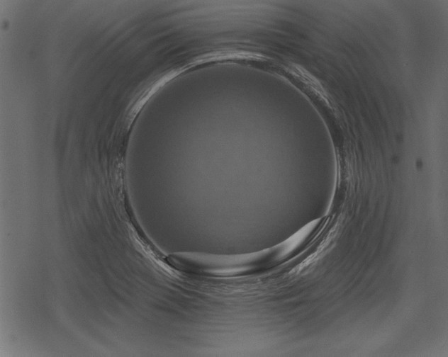 X0000078251369200611031127