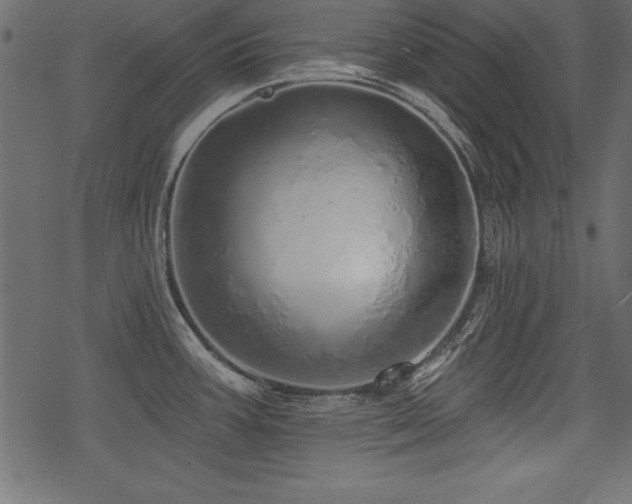 X0000078251387200611031127