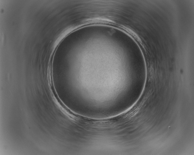 X0000078251391200611031126