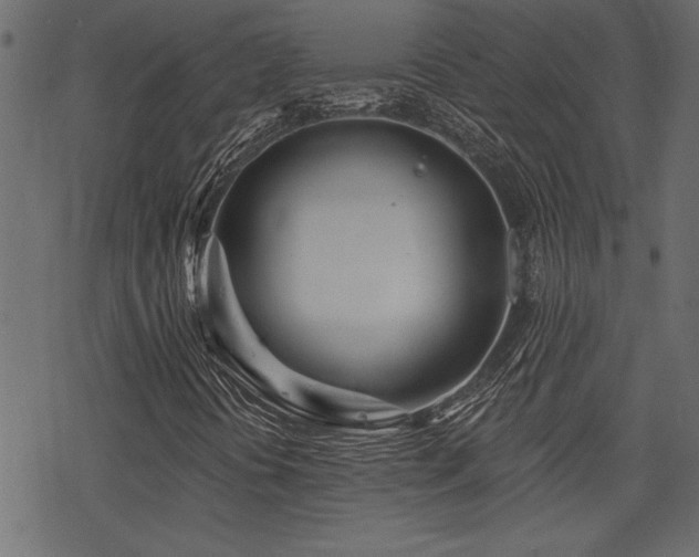 X0000078251394200611031126