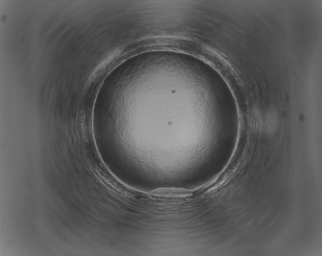 X0000078251403200611031126