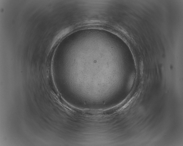 X0000078251405200611031126