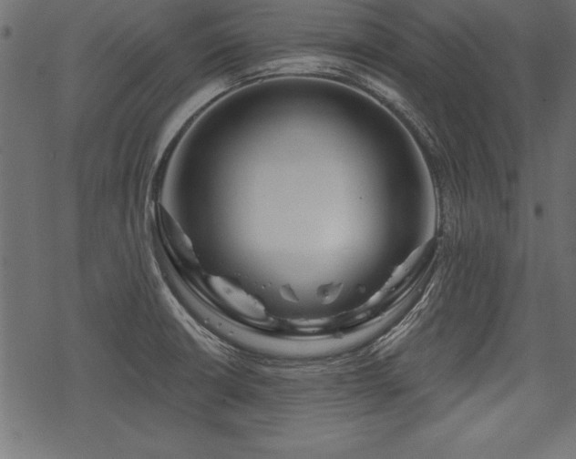 X0000078251426200611031126