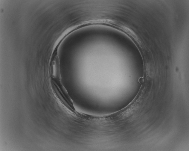 X0000078251428200611031126