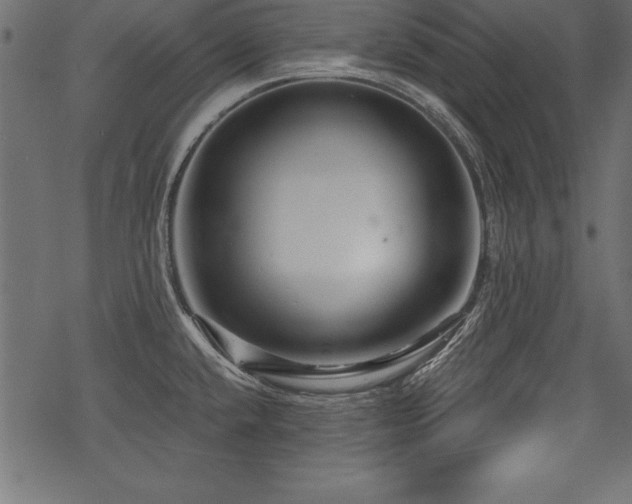 X0000078251432200611031126